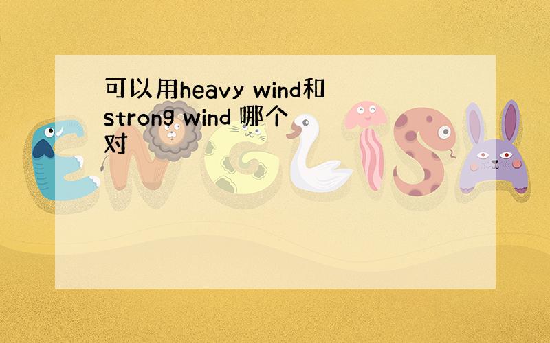 可以用heavy wind和strong wind 哪个对