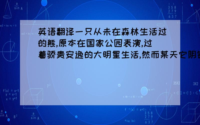 英语翻译一只从未在森林生活过的熊,原本在国家公园表演,过着骄贵安逸的大明星生活,然而某天它阴错阳差地救了一只被猎人捕获的