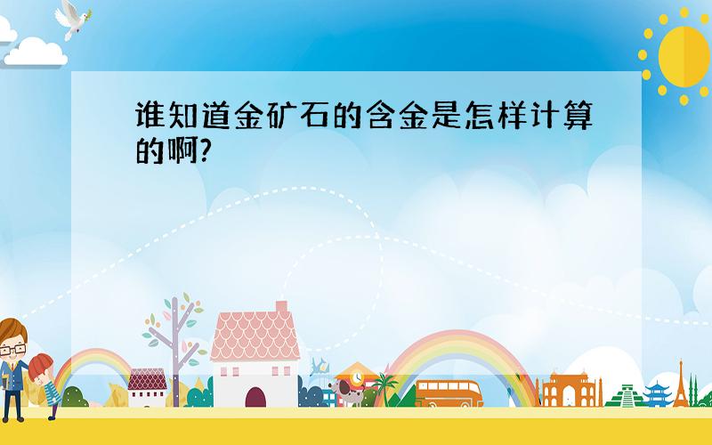 谁知道金矿石的含金是怎样计算的啊?