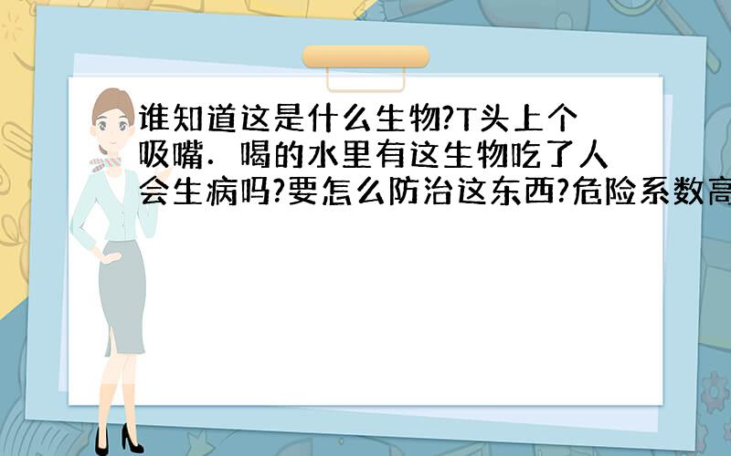 谁知道这是什么生物?T头上个吸嘴．喝的水里有这生物吃了人会生病吗?要怎么防治这东西?危险系数高吗