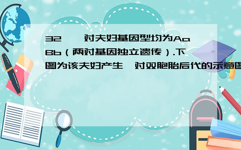 32、一对夫妇基因型均为AaBb（两对基因独立遗传）.下图为该夫妇产生一对双胞胎后代的示意图.下列有关叙述