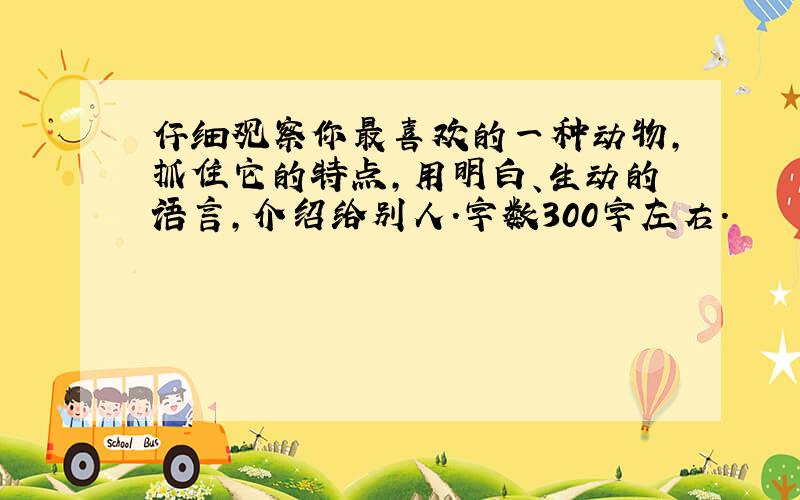 仔细观察你最喜欢的一种动物,抓住它的特点,用明白、生动的语言,介绍给别人.字数300字左右.