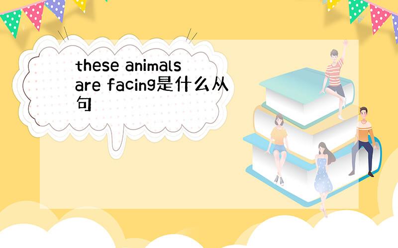 these animals are facing是什么从句