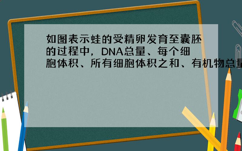 如图表示蛙的受精卵发育至囊胚的过程中，DNA总量、每个细胞体积、所有细胞体积之和、有机物总量的变化趋势（横坐标为发育时间