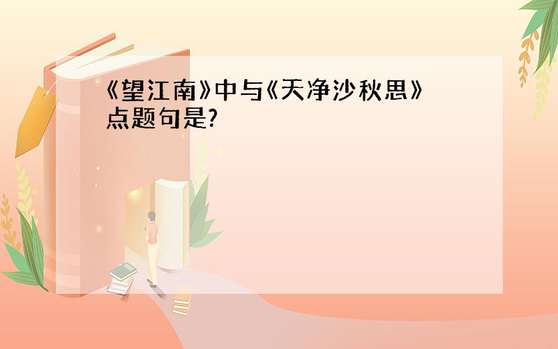 《望江南》中与《天净沙秋思》点题句是?