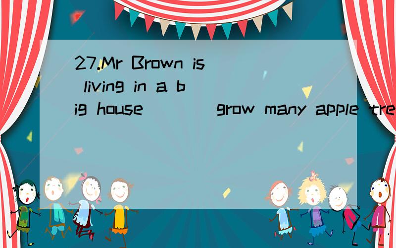 27.Mr Brown is living in a big house____grow many apple tree