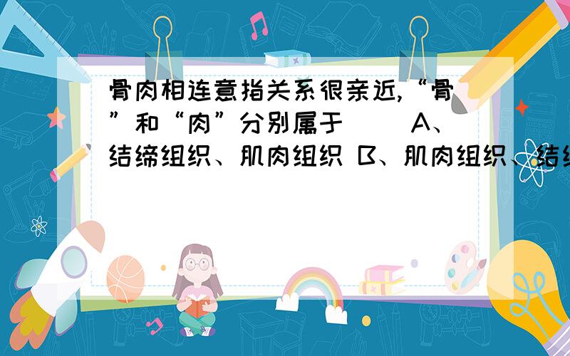 骨肉相连意指关系很亲近,“骨”和“肉”分别属于( )A、结缔组织、肌肉组织 B、肌肉组织、结缔组织C、