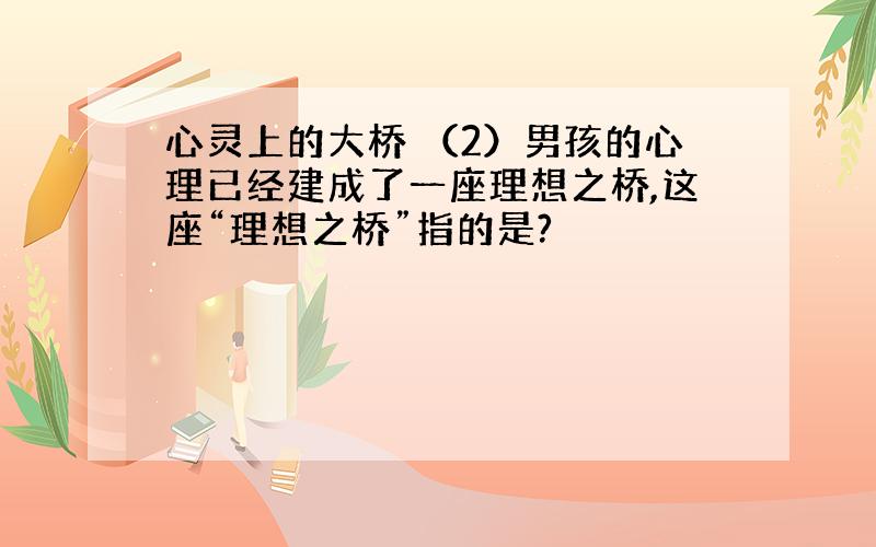 心灵上的大桥 （2）男孩的心理已经建成了一座理想之桥,这座“理想之桥”指的是?