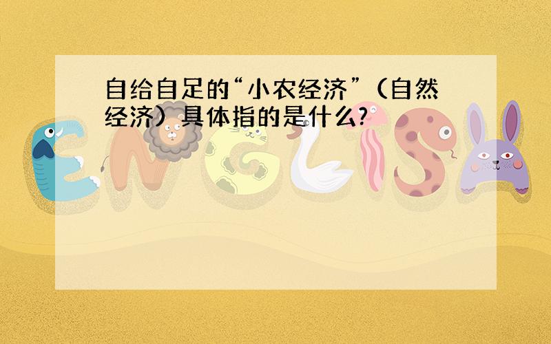 自给自足的“小农经济”（自然经济）具体指的是什么?