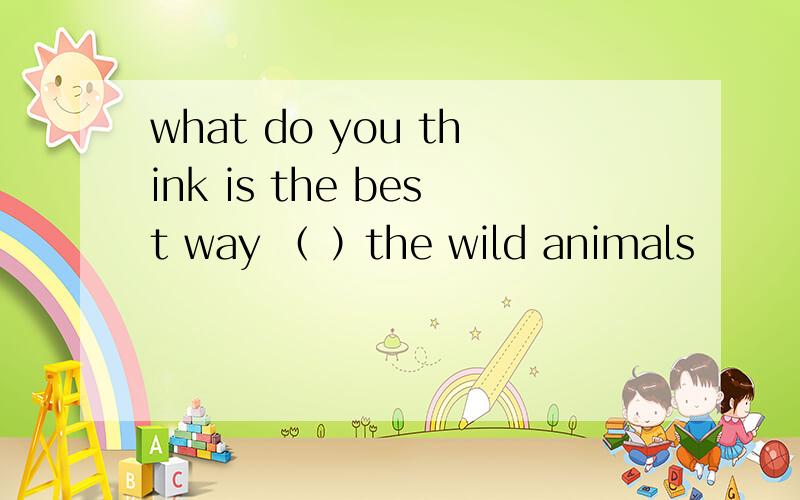 what do you think is the best way （ ）the wild animals