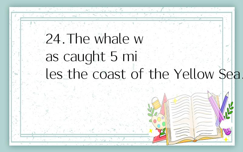 24.The whale was caught 5 miles the coast of the Yellow Sea.