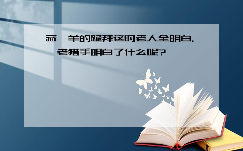 藏羚羊的跪拜这时老人全明白.,老猎手明白了什么呢?