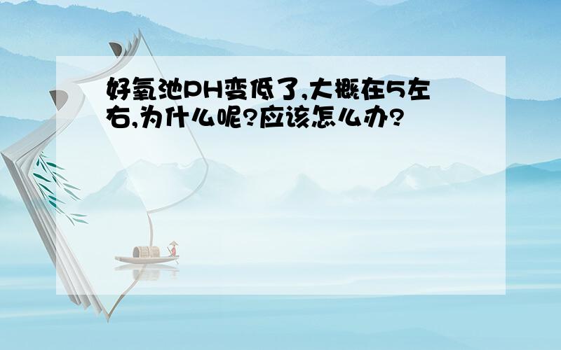 好氧池PH变低了,大概在5左右,为什么呢?应该怎么办?