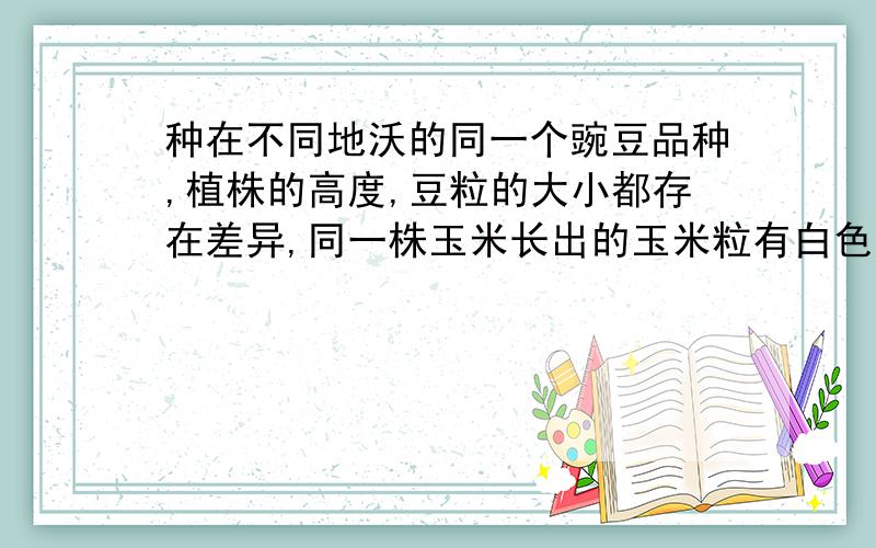 种在不同地沃的同一个豌豆品种,植株的高度,豆粒的大小都存在差异,同一株玉米长出的玉米粒有白色、黄色和