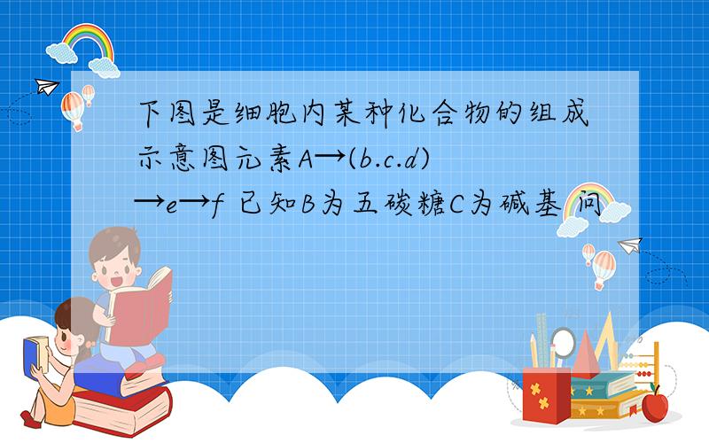 下图是细胞内某种化合物的组成示意图元素A→(b.c.d)→e→f 已知B为五碳糖C为碱基 问