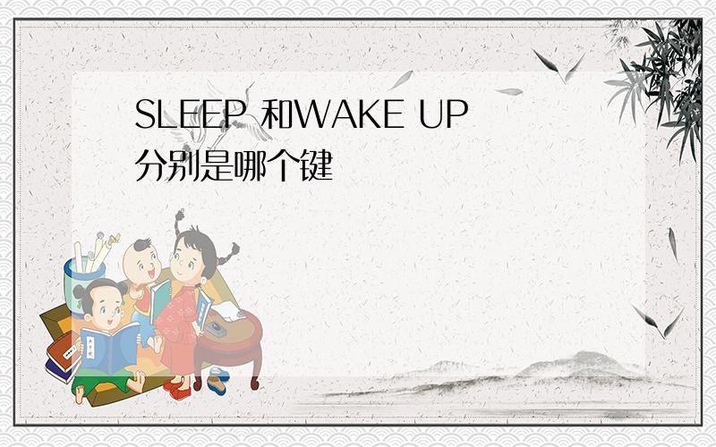 SLEEP 和WAKE UP分别是哪个键