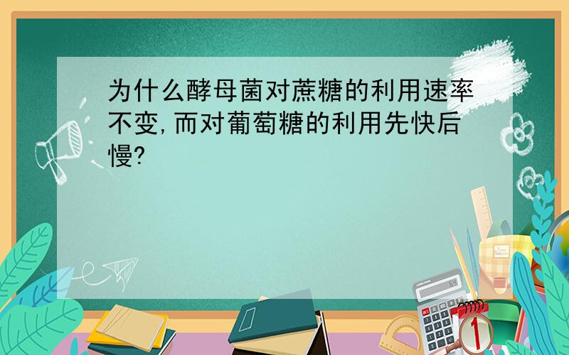 为什么酵母菌对蔗糖的利用速率不变,而对葡萄糖的利用先快后慢?