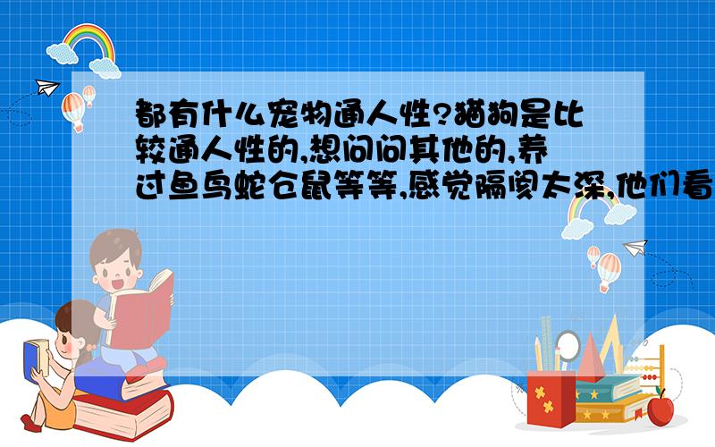 都有什么宠物通人性?猫狗是比较通人性的,想问问其他的,养过鱼鸟蛇仓鼠等等,感觉隔阂太深,他们看到的永远以你手中的食物为先