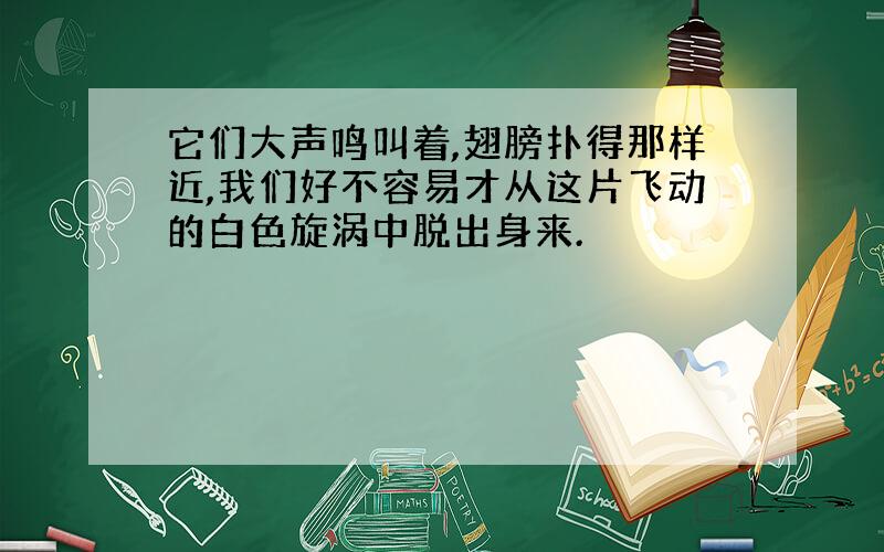 它们大声鸣叫着,翅膀扑得那样近,我们好不容易才从这片飞动的白色旋涡中脱出身来.