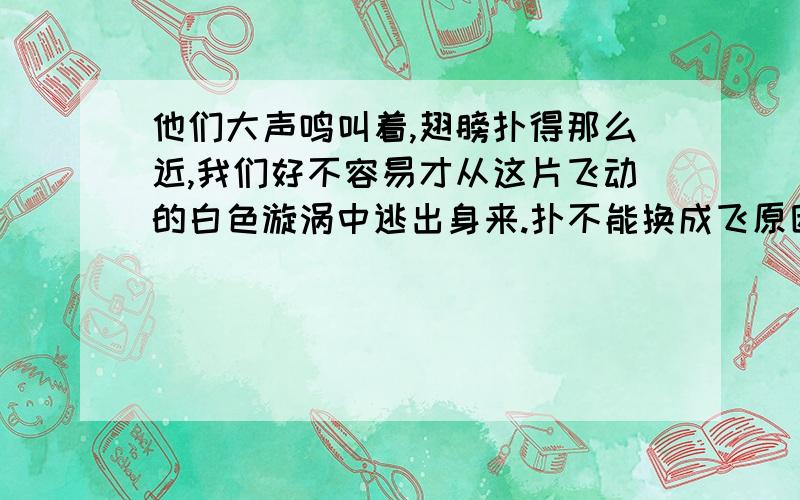 他们大声鸣叫着,翅膀扑得那么近,我们好不容易才从这片飞动的白色漩涡中逃出身来.扑不能换成飞原因是