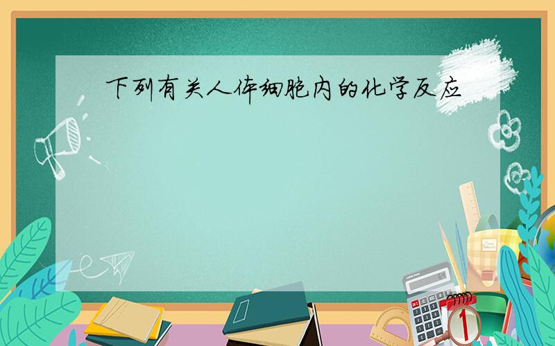 下列有关人体细胞内的化学反应