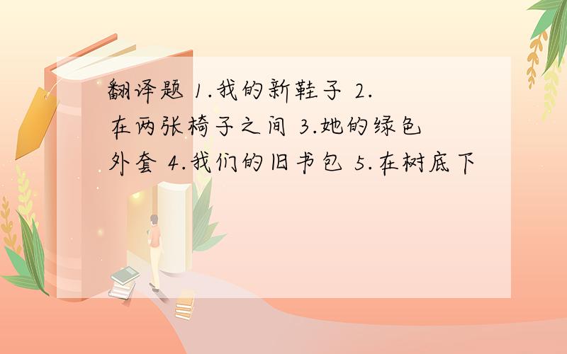 翻译题 1.我的新鞋子 2.在两张椅子之间 3.她的绿色外套 4.我们的旧书包 5.在树底下