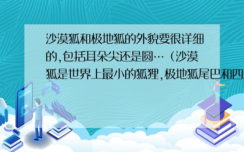 沙漠狐和极地狐的外貌要很详细的,包括耳朵尖还是圆…（沙漠狐是世界上最小的狐狸,极地狐尾巴和四肢短小）