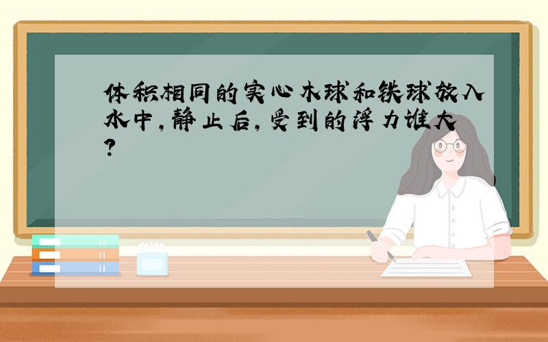 体积相同的实心木球和铁球放入水中,静止后,受到的浮力谁大?