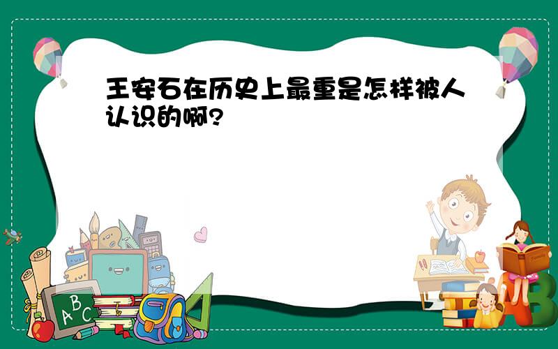 王安石在历史上最重是怎样被人认识的啊?