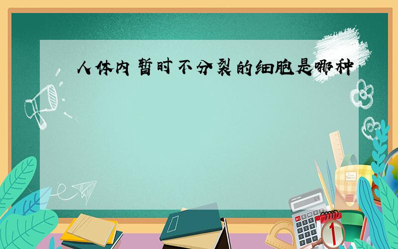 人体内暂时不分裂的细胞是哪种