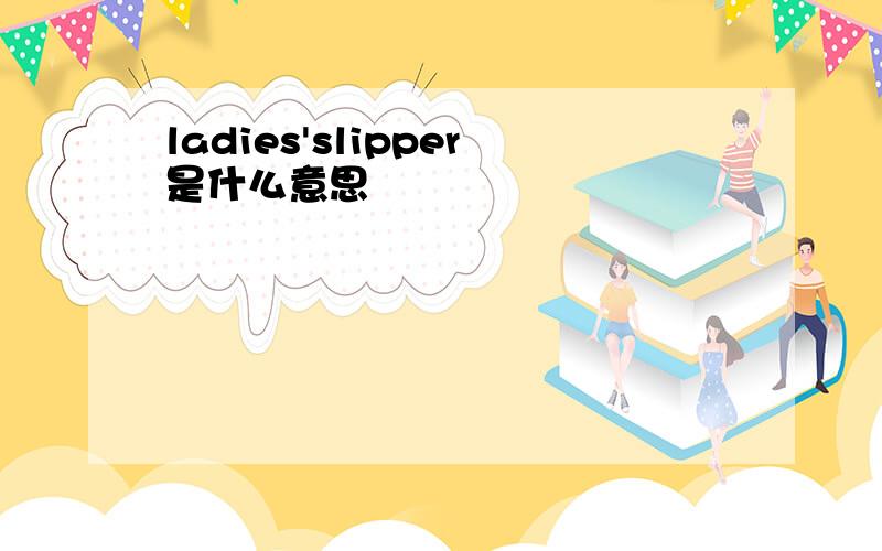 ladies'slipper是什么意思