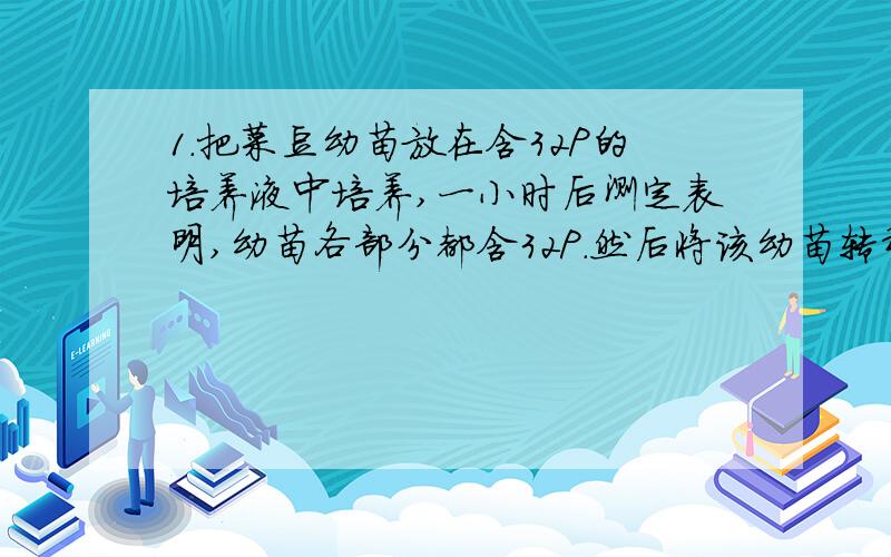 1.把菜豆幼苗放在含32P的培养液中培养,一小时后测定表明,幼苗各部分都含32P.然后将该幼苗转移到不含32P的培养液中