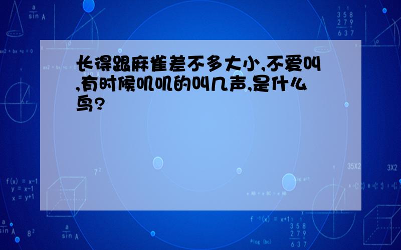 长得跟麻雀差不多大小,不爱叫,有时候叽叽的叫几声,是什么鸟?