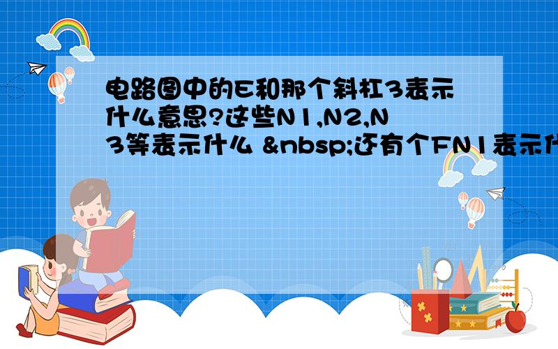 电路图中的E和那个斜杠3表示什么意思?这些N1,N2,N3等表示什么  还有个FN1表示什么?、