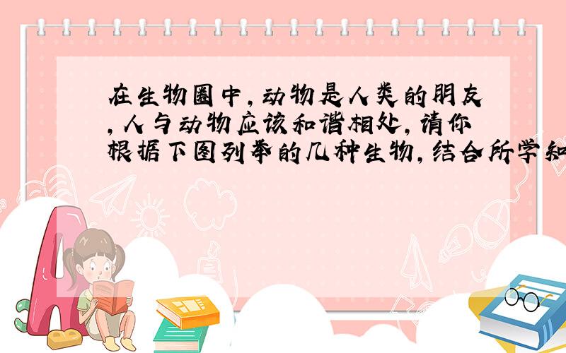 在生物圈中，动物是人类的朋友，人与动物应该和谐相处，请你根据下图列举的几种生物，结合所学知识回答相关问题：