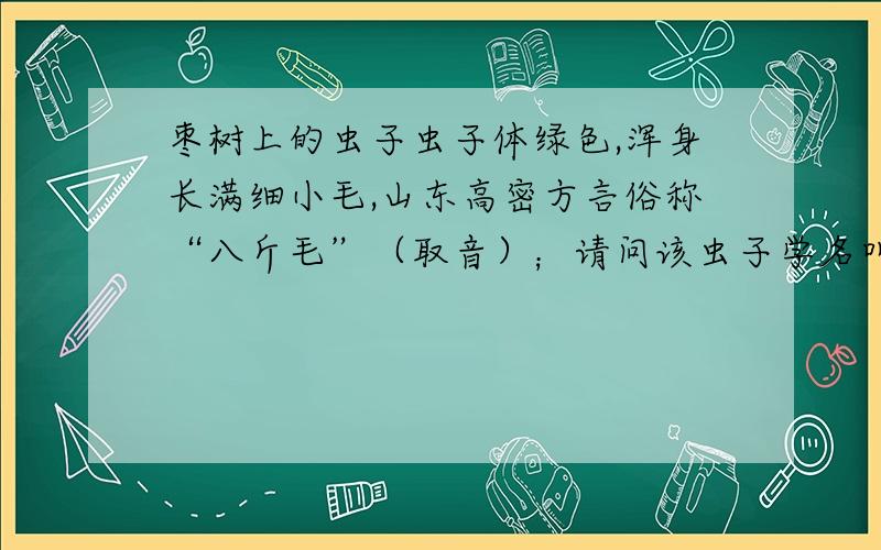 枣树上的虫子虫子体绿色,浑身长满细小毛,山东高密方言俗称“八斤毛”（取音）；请问该虫子学名叫什么?若被它伤到,该如何治疗