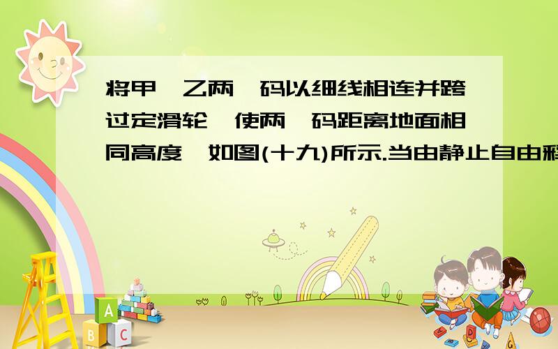 将甲、乙两砝码以细线相连并跨过定滑轮,使两砝码距离地面相同高度,如图(十九)所示.当由静止自由释放后