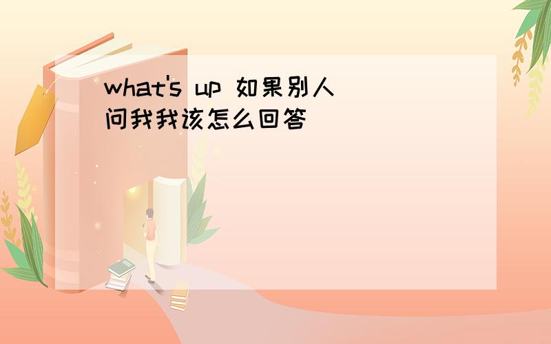 what's up 如果别人问我我该怎么回答