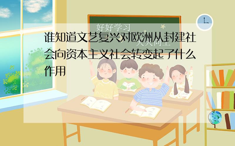 谁知道文艺复兴对欧洲从封建社会向资本主义社会转变起了什么作用