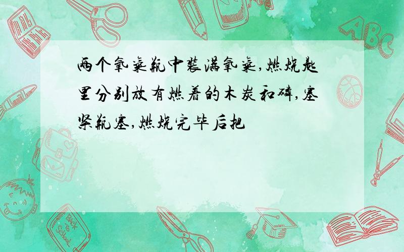 两个氧气瓶中装满氧气,燃烧匙里分别放有燃着的木炭和磷,塞紧瓶塞,燃烧完毕后把