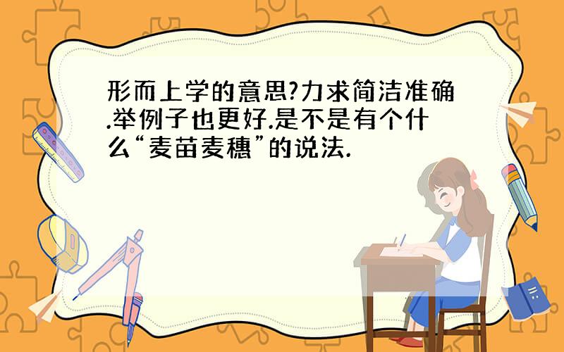 形而上学的意思?力求简洁准确.举例子也更好.是不是有个什么“麦苗麦穗”的说法.