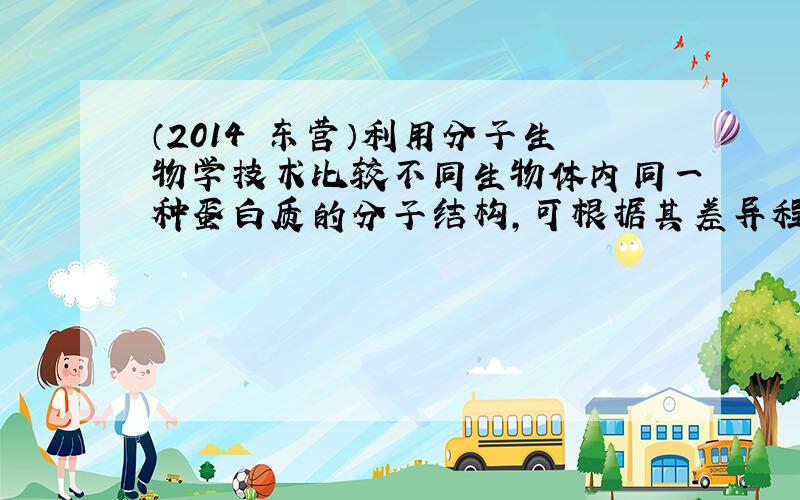 （2014•东营）利用分子生物学技术比较不同生物体内同一种蛋白质的分子结构，可根据其差异程度，来判断生物之间的亲缘关系，