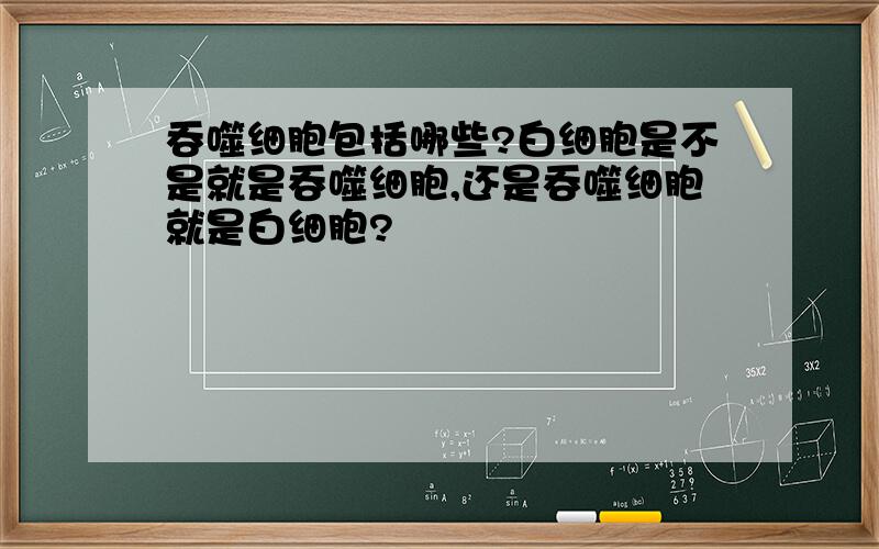 吞噬细胞包括哪些?白细胞是不是就是吞噬细胞,还是吞噬细胞就是白细胞?