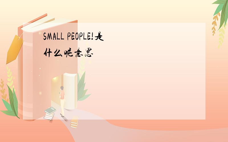 SMALL PEOPLE!是什么呢意思