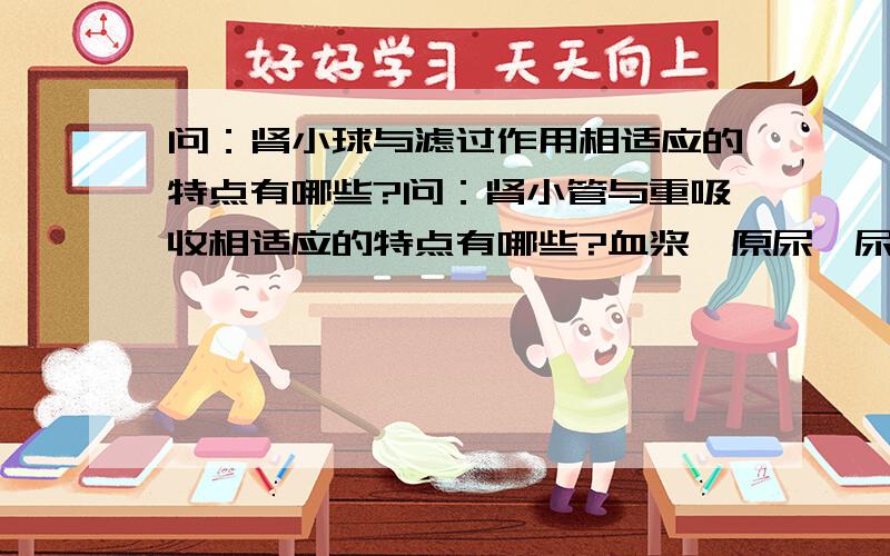 问：肾小球与滤过作用相适应的特点有哪些?问：肾小管与重吸收相适应的特点有哪些?血浆、原尿、尿液的