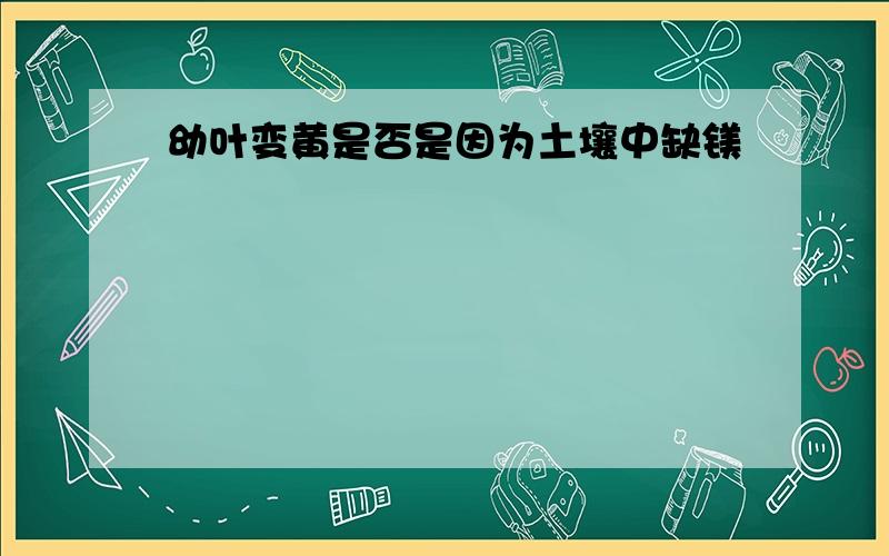 幼叶变黄是否是因为土壤中缺镁