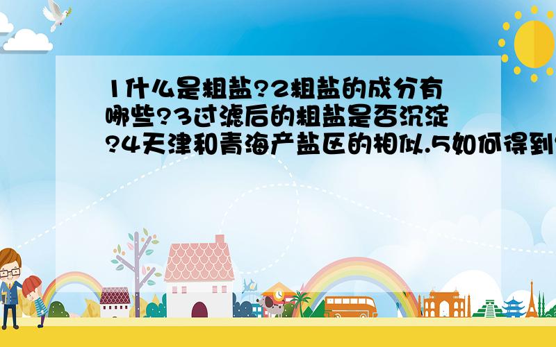 1什么是粗盐?2粗盐的成分有哪些?3过滤后的粗盐是否沉淀?4天津和青海产盐区的相似.5如何得到纯净的盐?