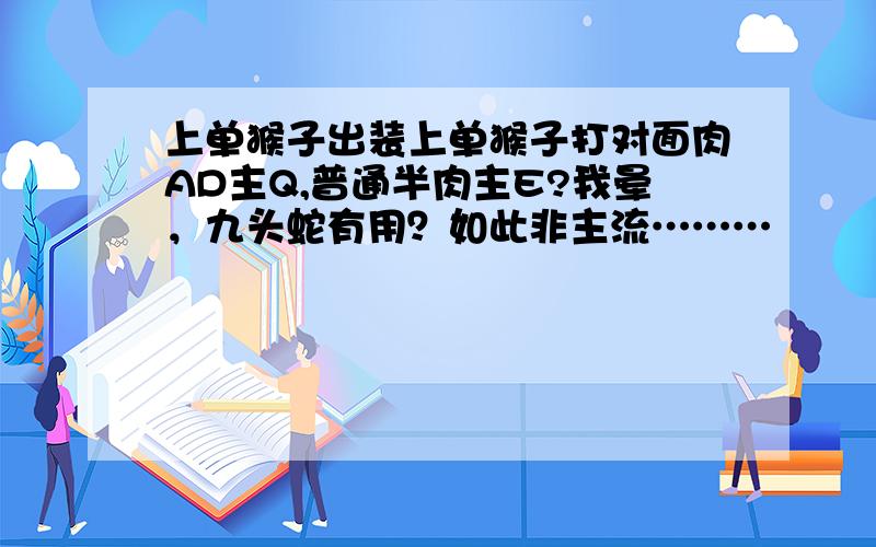 上单猴子出装上单猴子打对面肉AD主Q,普通半肉主E?我晕，九头蛇有用？如此非主流………