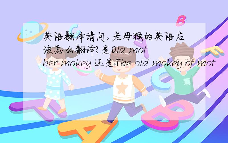 英语翻译请问,老母猴的英语应该怎么翻译?是Old mother mokey 还是The old mokey of mot