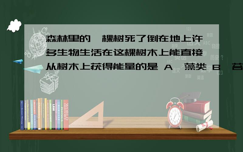 森林里的一棵树死了倒在地上许多生物生活在这棵树木上能直接从树木上获得能量的是 A,藻类 B,苔藓